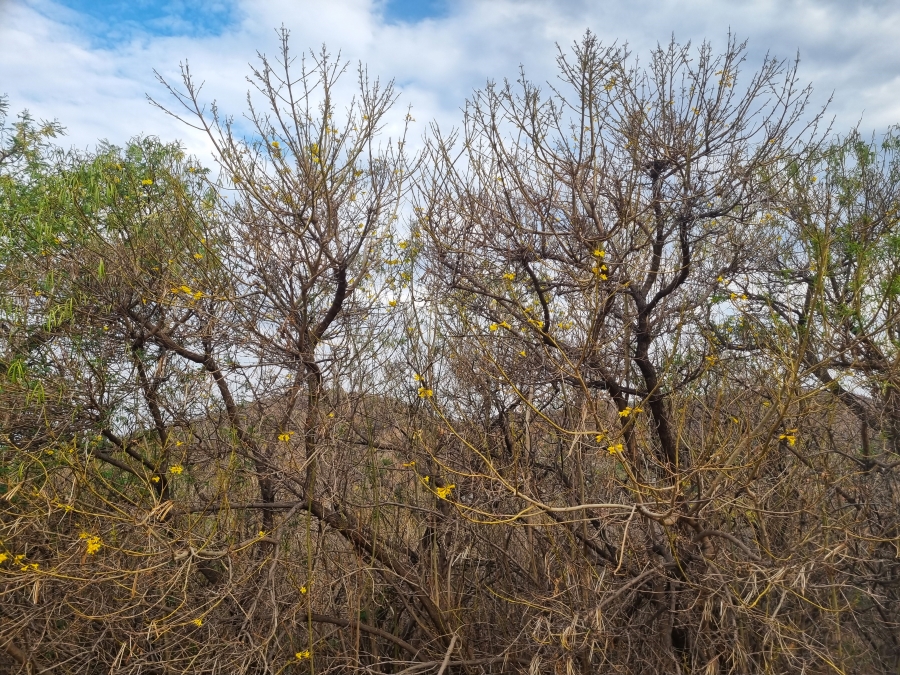 0 Bedroom Property for Sale in Cashan North West